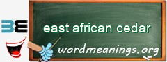 WordMeaning blackboard for east african cedar